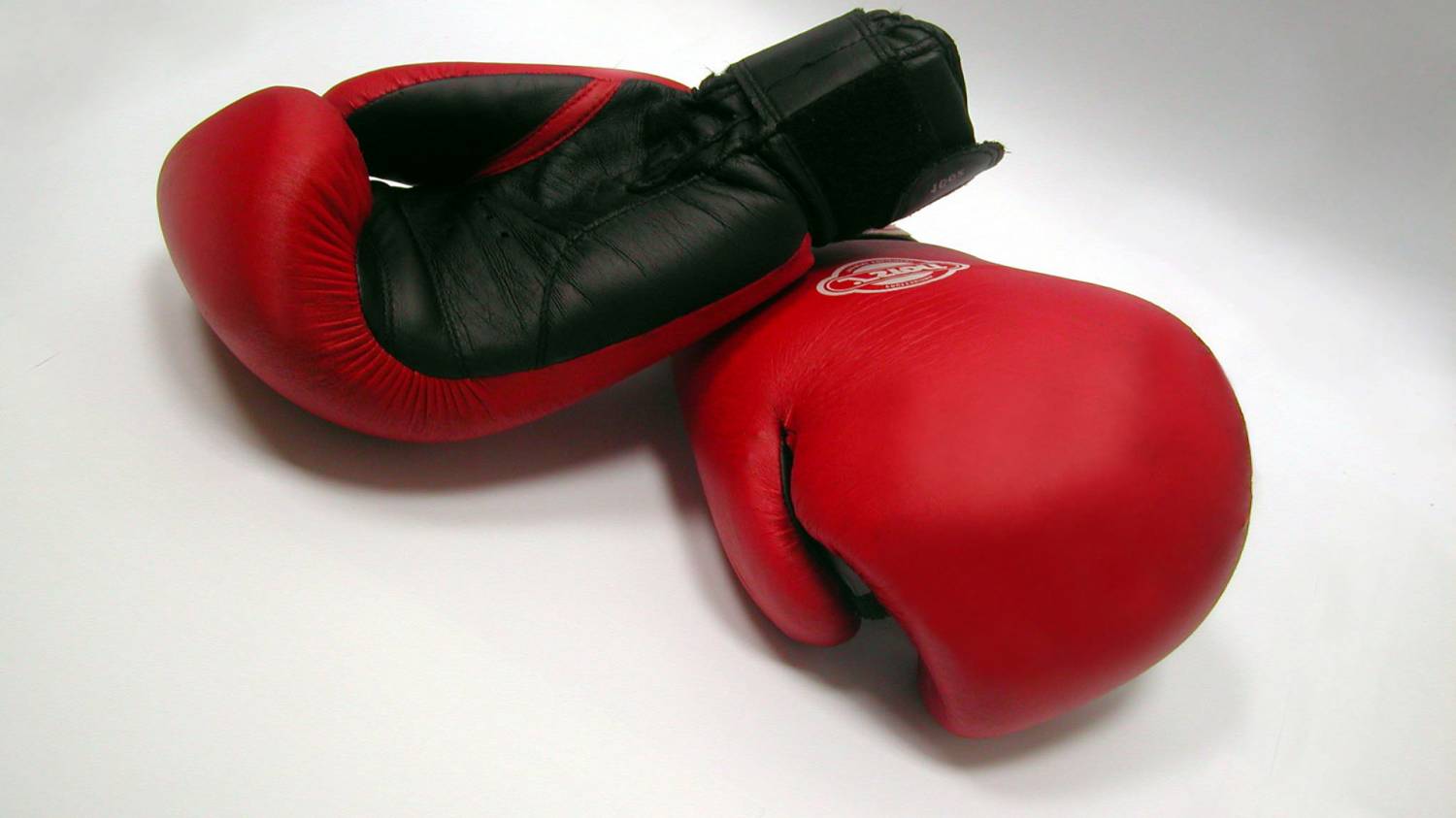 Незаменимость боксерских перчаток - фотография
