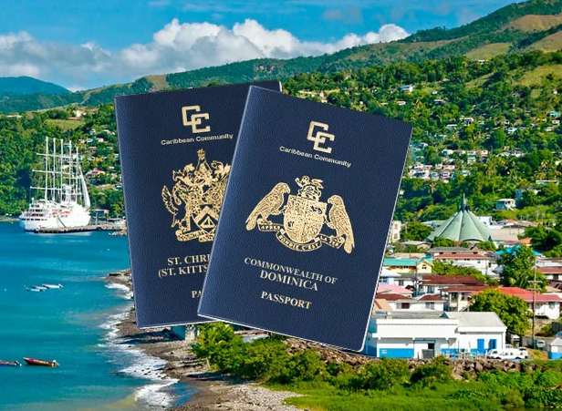 Есть ли у паспорта Доминики недостатки - фотография